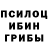 Псилоцибиновые грибы прущие грибы Theloalok