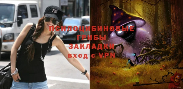 соль ск Балабаново