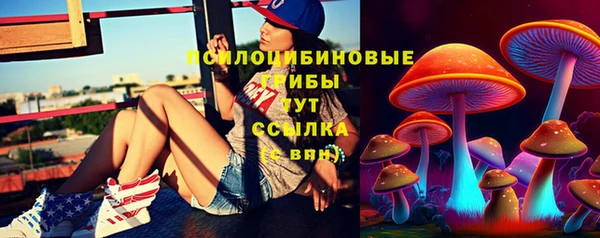 соль ск Балабаново