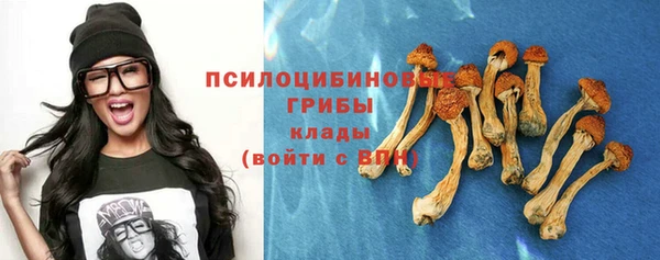 MESCALINE Баксан