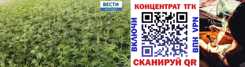 где найти наркотики  нарко площадка телеграм  Дистиллят ТГК вейп с тгк  Салаир 